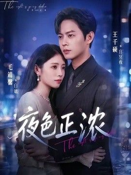 夜色正浓（2026）(全集)