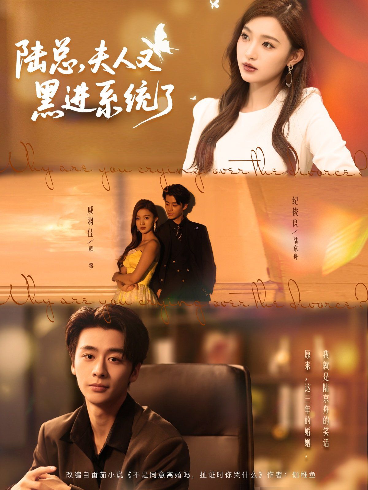 陆总夫人又黑进系统了(全集)