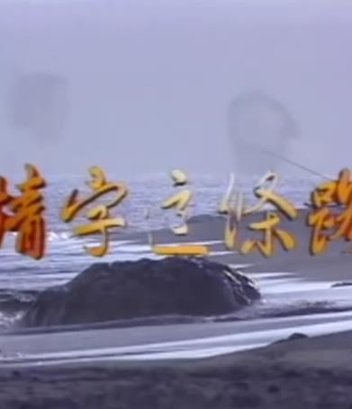 情字这条路(全集)