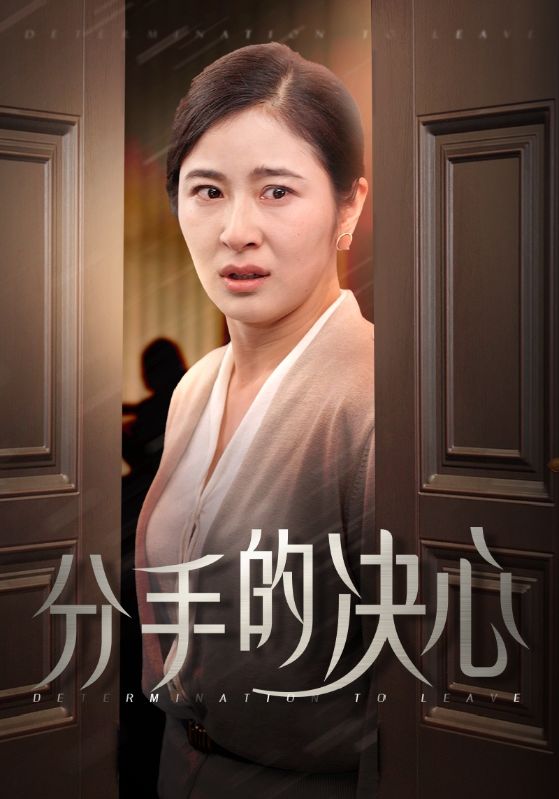 分手的决心 短剧版 第38集