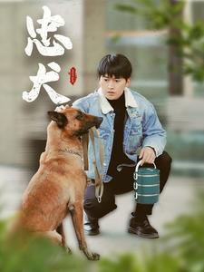 忠犬（短剧版） 第1集